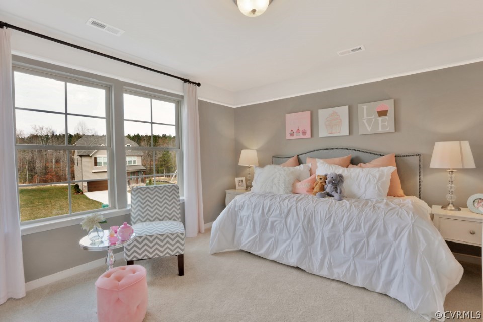 15601 Wolfboro Road Chesterfield, VA 23832 - Photo 26 of 44 Gallery Image 26