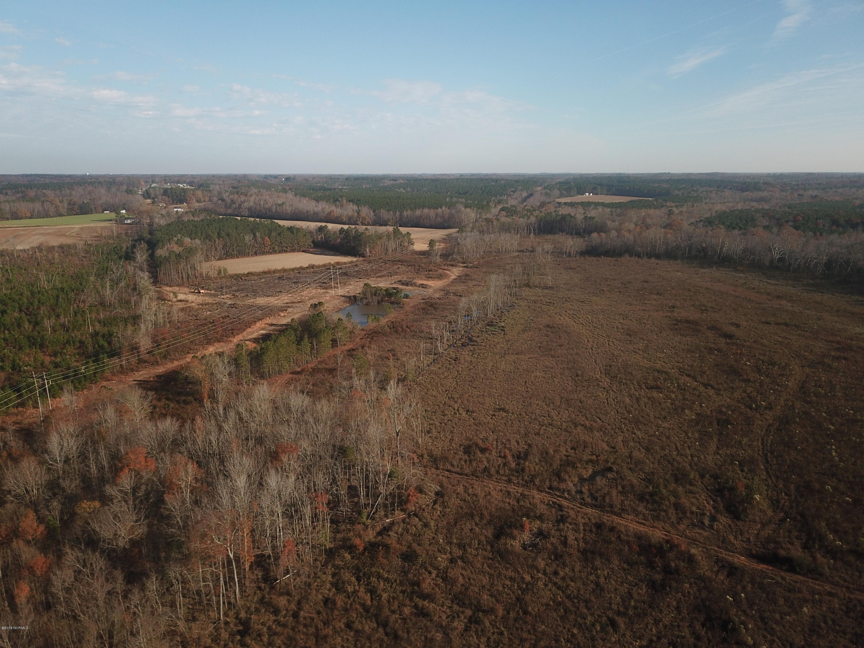 1817 Green Road Spring Hope, NC 27882 - Photo 3 of 13 DJI_0081