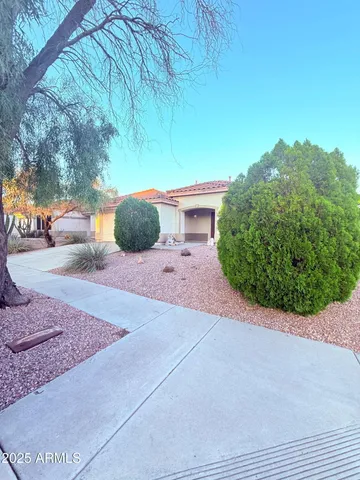 a view of a backyard