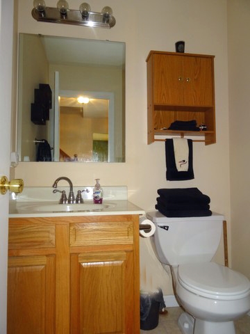 4123 North Messick Road New Castle, IN 47362 - Photo 13 of 22 Gallery Image 13
