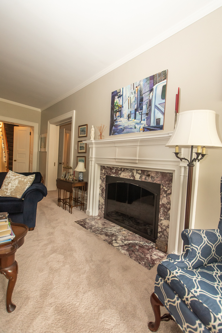 223 East Boyd Street Dixon, IL 61021 - Photo 16 of 74 a living room with furniture and a fireplace
