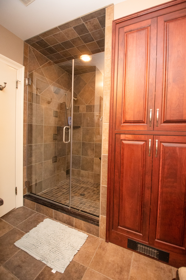 223 East Boyd Street Dixon, IL 61021 - Photo 49 of 74 a bathroom with a shower