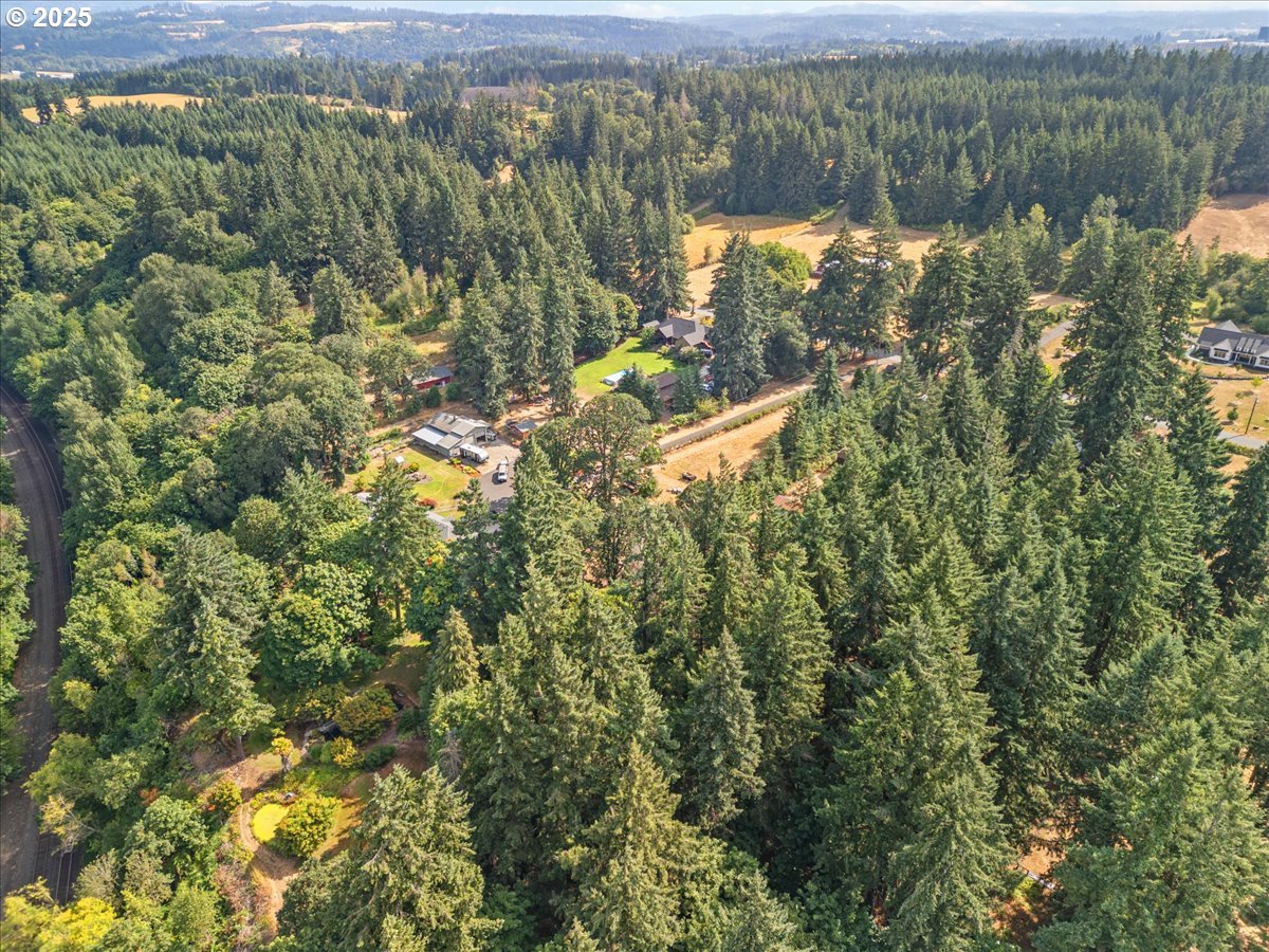 31315 Northwest 71st Avenue Ridgefield, WA 98642 - Photo 5 of 9 a view of a lake with a mountain