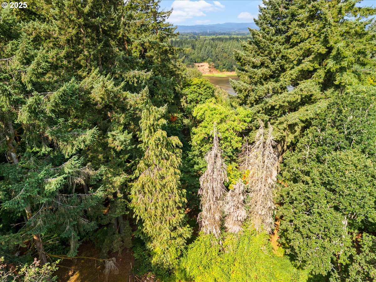 31315 Northwest 71st Avenue Ridgefield, WA 98642 - Photo 6 of 9 a view of a house with a lush green forest