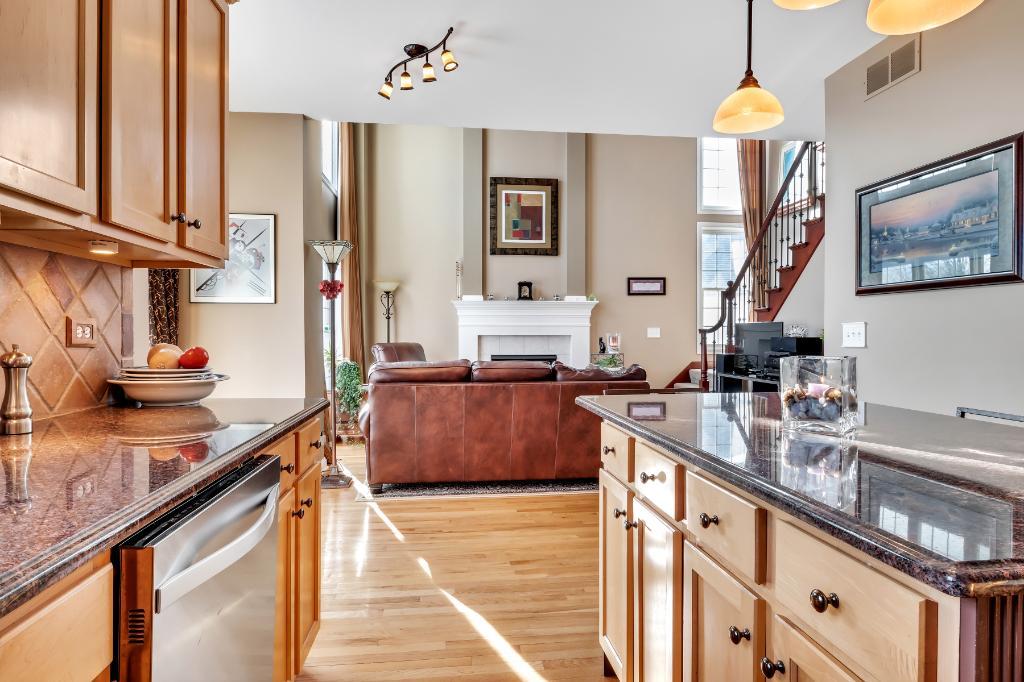 807 Sharp Court Elburn, IL 60119 - Photo 13 of 44 a kitchen with stainless steel appliances granite countertop a sink a stove and a wooden floors