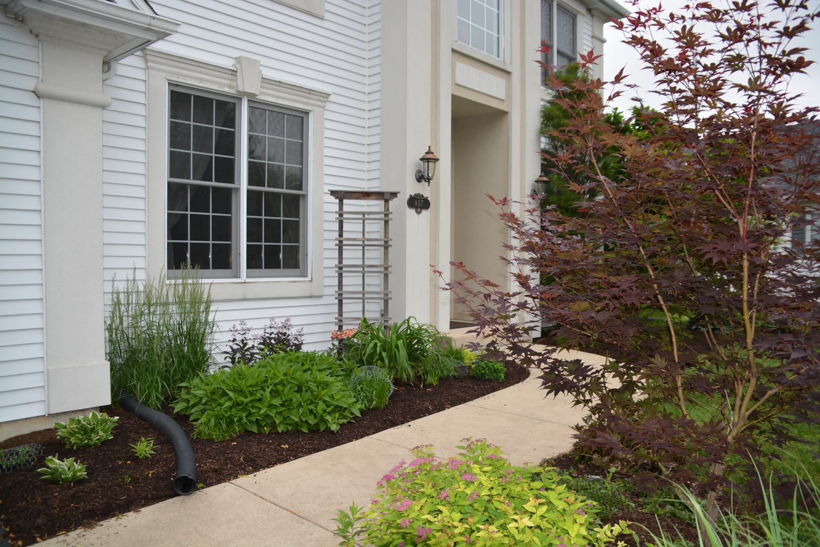 807 Sharp Court Elburn, IL 60119 - Photo 2 of 44 a front view of a house with a garden