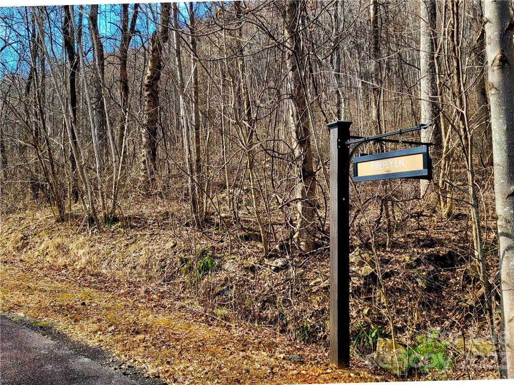 Lot 198 Cherry Hill Mill Spring Mill Spring, NC 28756 - Photo 12 of 15