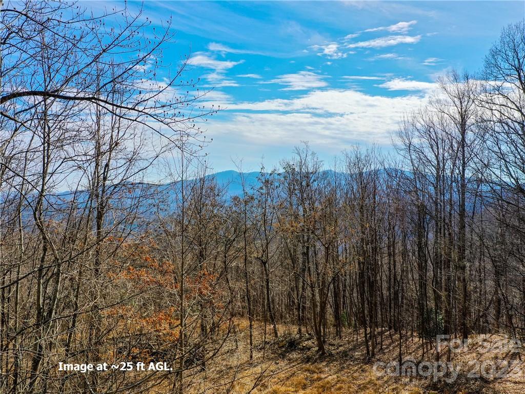 Lot 198 Cherry Hill Mill Spring Mill Spring, NC 28756 - Photo 13 of 15 a view of a yard with a tree