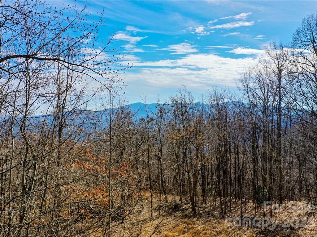 Lot 198 Cherry Hill Mill Spring Mill Spring, NC 28756 - Photo 14 of 15 a view of a yard with wooden fence