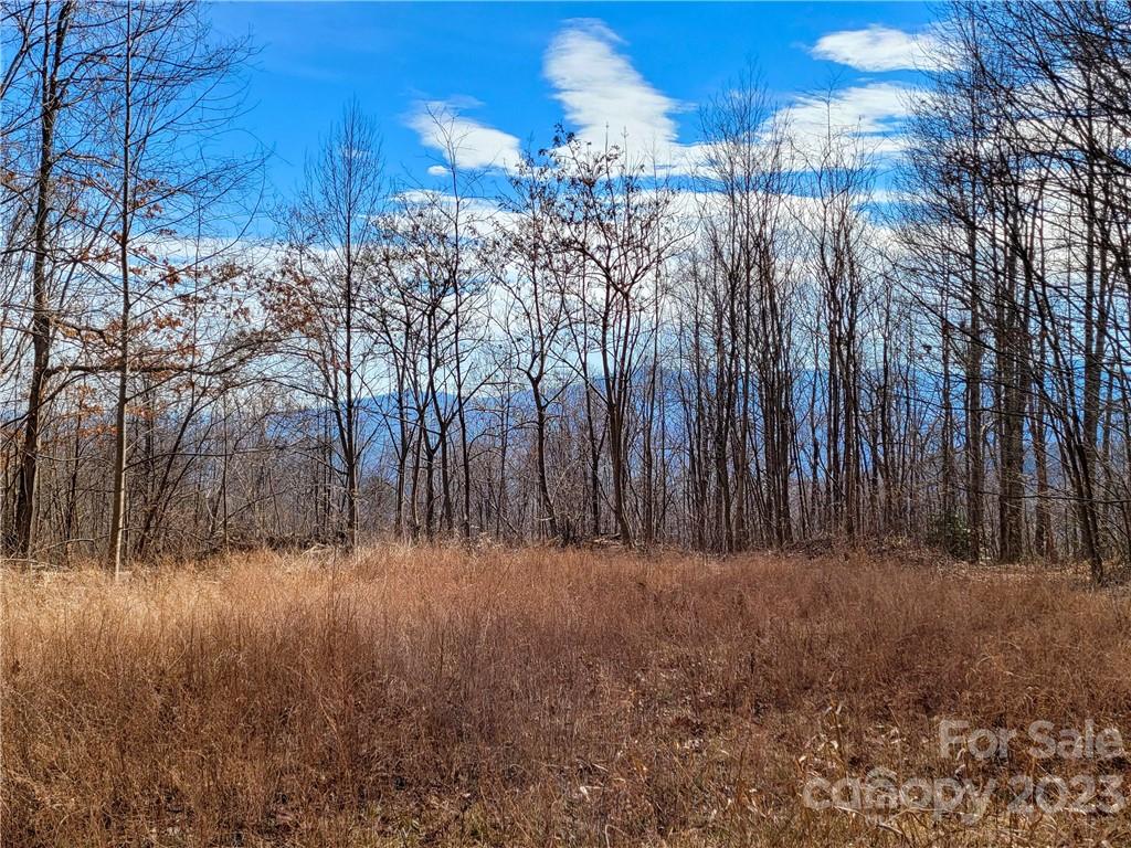 Lot 198 Cherry Hill Mill Spring Mill Spring, NC 28756 - Photo 2 of 15 a view of a yard with large trees