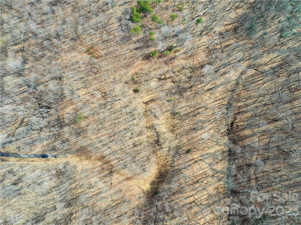 Lot 198 Cherry Hill Mill Spring Mill Spring, NC 28756 - Photo 6 of 15 a close up of a white wall