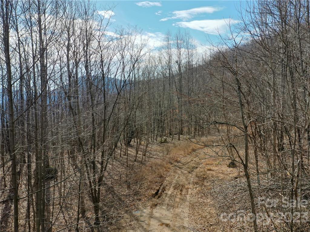 Lot 198 Cherry Hill Mill Spring Mill Spring, NC 28756 - Photo 7 of 15