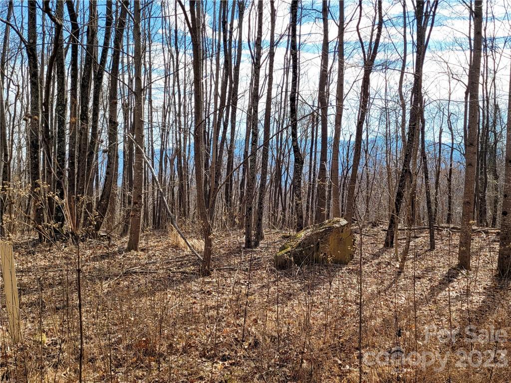 Lot 198 Cherry Hill Mill Spring Mill Spring, NC 28756 - Photo 8 of 15 a view of wooden fence with trees in the background