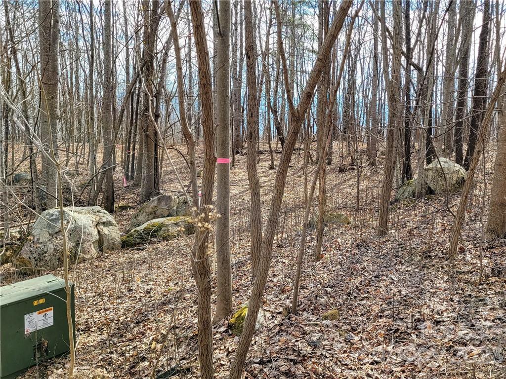 Lot 198 Cherry Hill Mill Spring Mill Spring, NC 28756 - Photo 9 of 15 a view of outdoor space with lots of trees