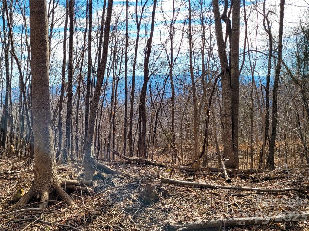 Lot 198 Cherry Hill Mill Spring Mill Spring, NC 28756 - Photo 10 of 15 a view of a backyard with large trees