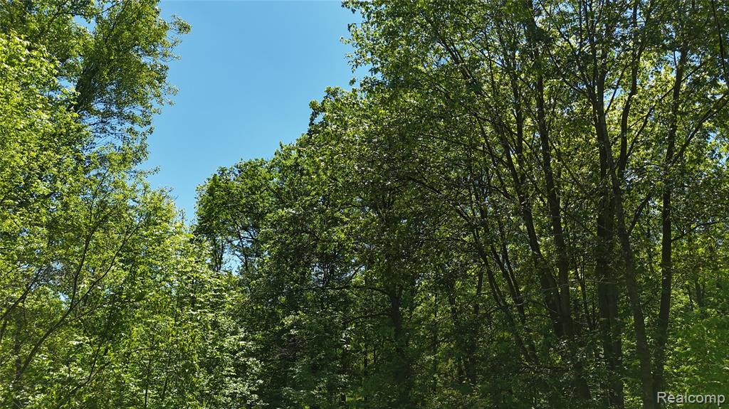 0 Williams Road Gaines, MI 48436 - Photo 26 of 28