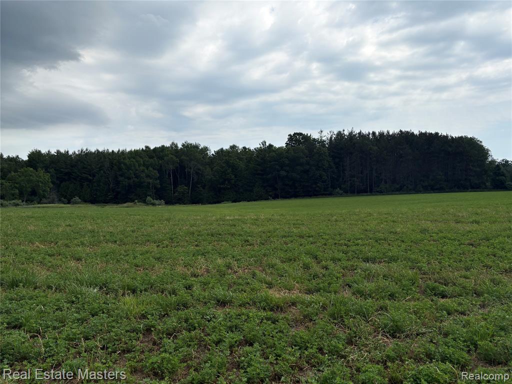 300 East Hubert Road Hubbard Lake, MI 49747 - Photo 13 of 17