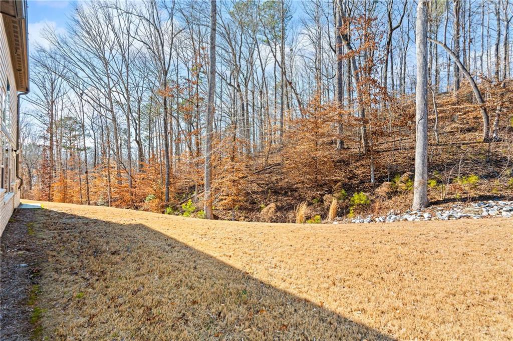 8335 Scenic Ridge Way Ball Ground, GA 30107 - Photo 27 of 31
