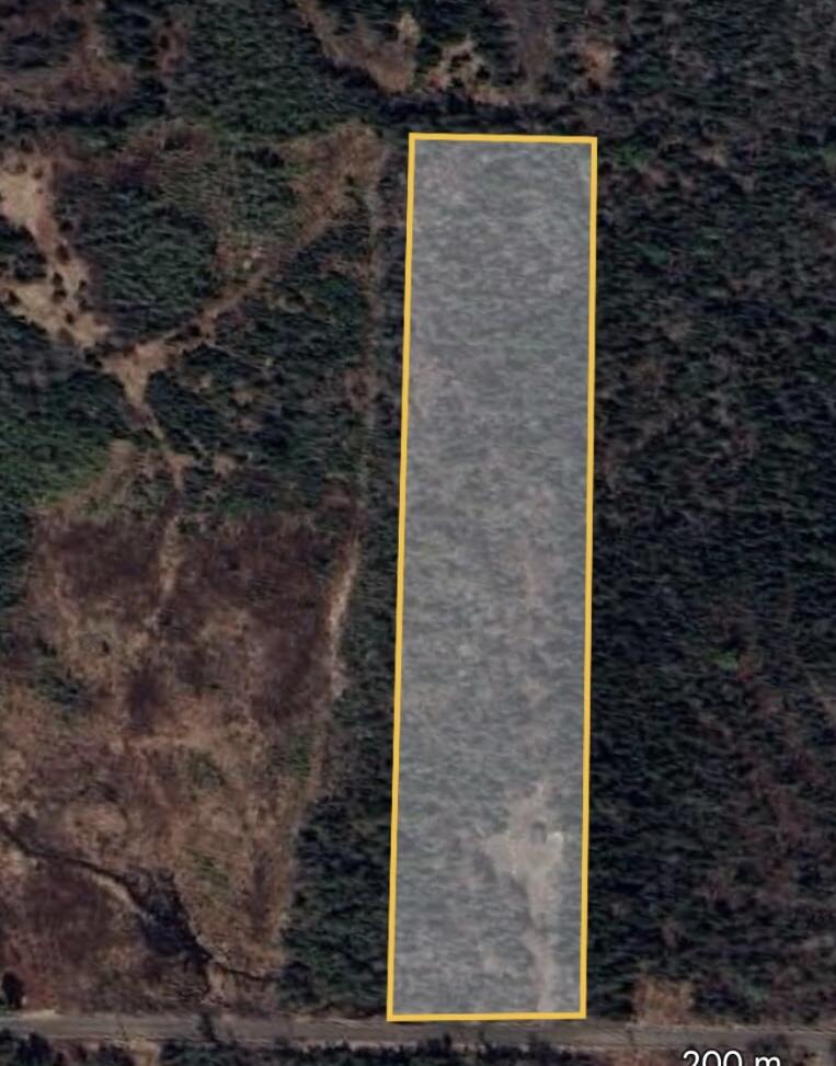 105 Gales Road Abbot, ME 04406 - Photo 11 of 33 sat map w outline