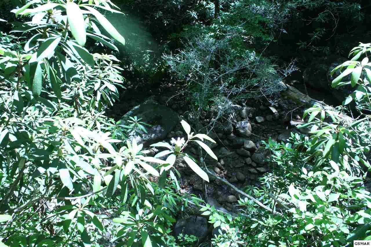 0 Bogard Crk Road Cosby, TN 37722 - Photo 13 of 30 Gallery Image 13