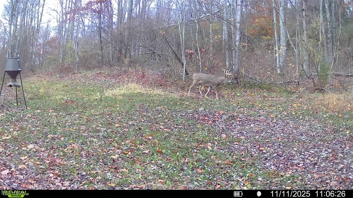Brown Peavine Road Alledonia, OH 43902 - Photo 44 of 50