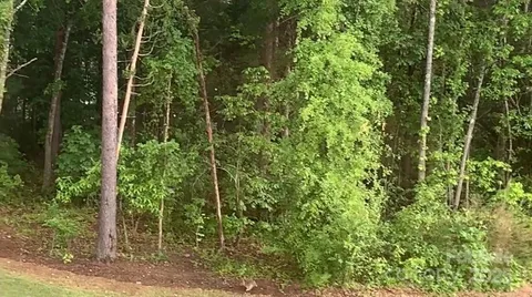 $790,000 | 521 Vine Street, Fort Mill, SC 29707