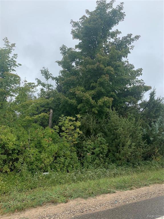 0 Ferry Road East Jordan, MI 49727 - Photo 4 of 7