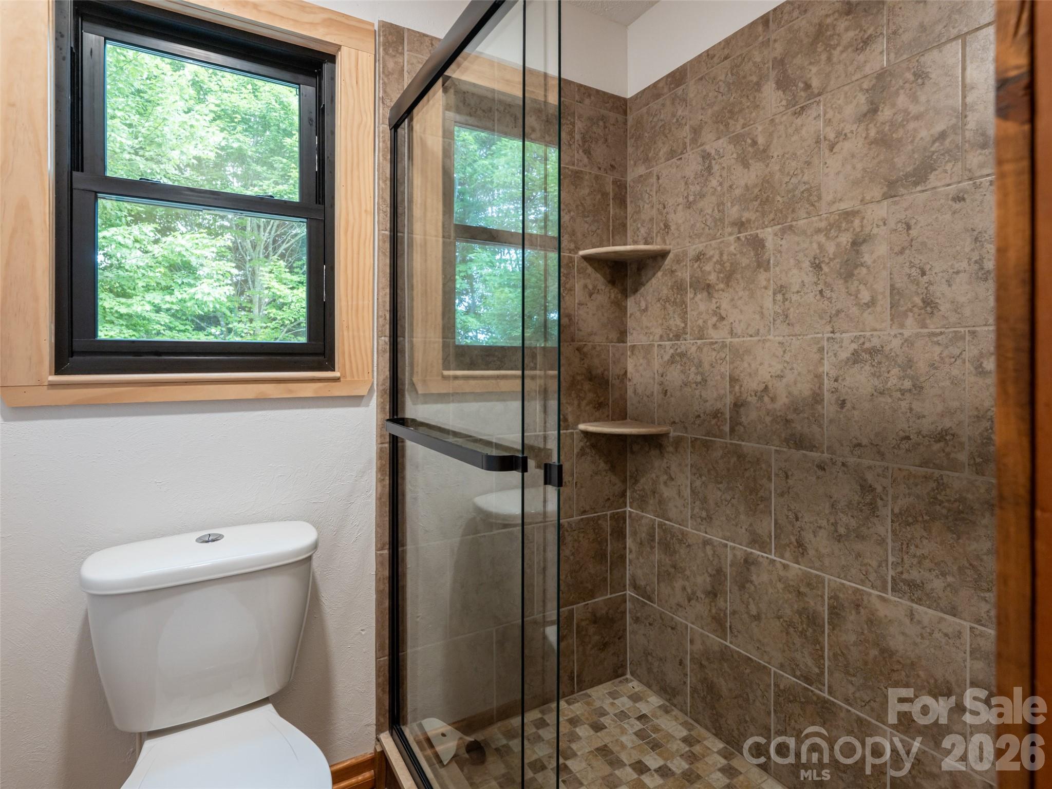 243 Pioneer Ridge Road Canton, NC 28716 - Photo 26 of 47