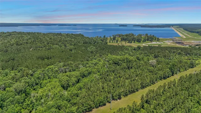 $99,500 | Tbd Hickman Road, Burkeville, TX 75932