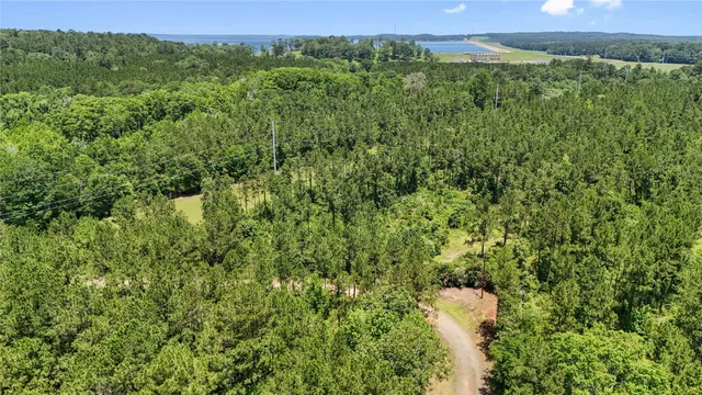 $99,500 | Tbd Hickman Road, Burkeville, TX 75932