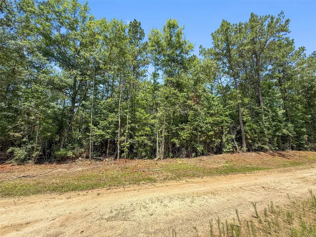 $99,500 | Tbd Hickman Road, Burkeville, TX 75932