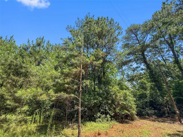 $99,500 | Tbd Hickman Road, Burkeville, TX 75932