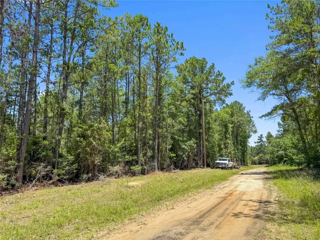 $99,500 | Tbd Hickman Road, Burkeville, TX 75932