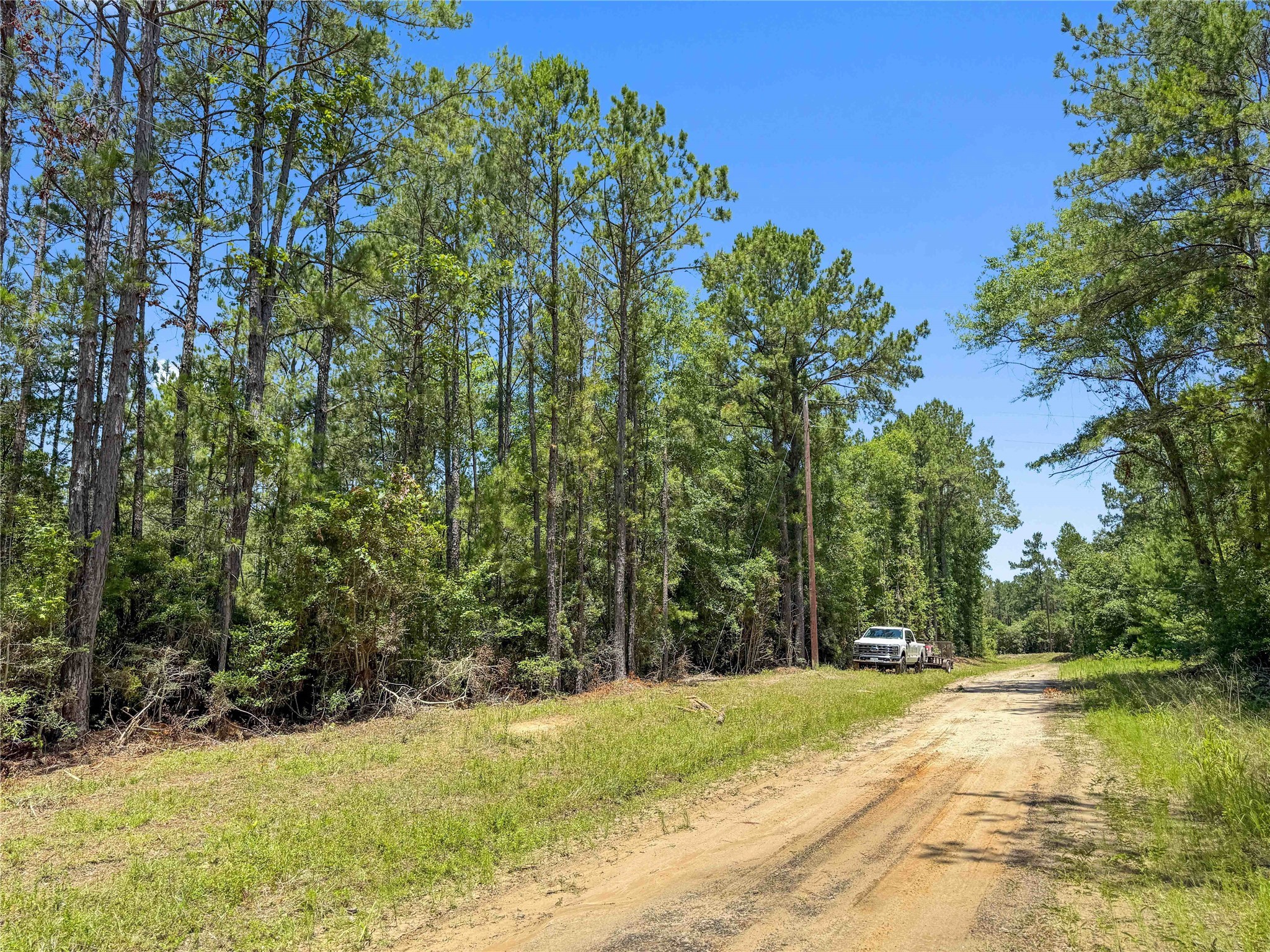 Tbd Hickman Road Burkeville, TX 75932 - Photo 24 of 46
