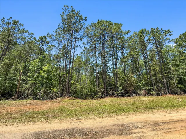 $99,500 | Tbd Hickman Road, Burkeville, TX 75932