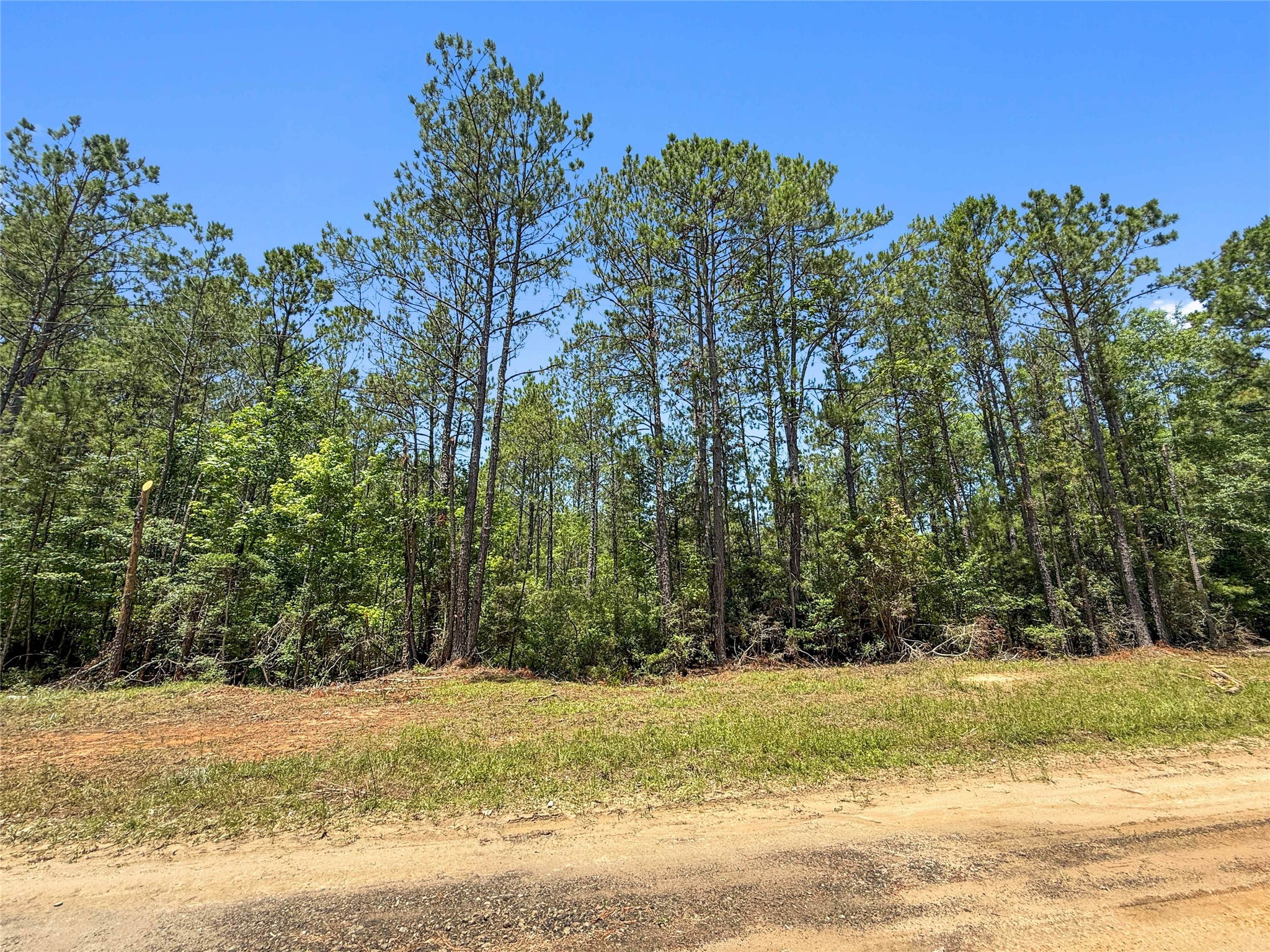 Tbd Hickman Road Burkeville, TX 75932 - Photo 25 of 46 a view of a yard with a house