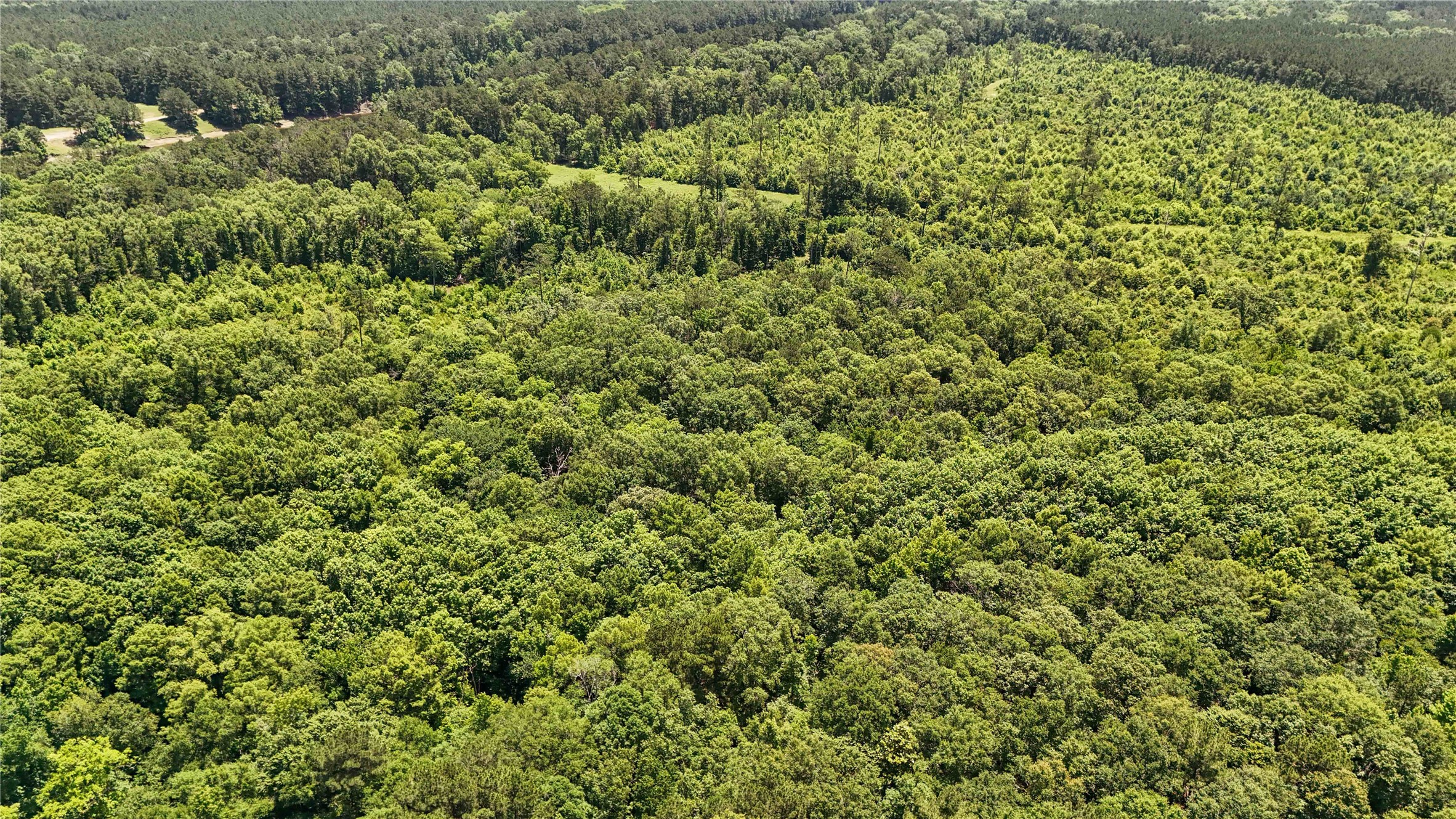 Tbd Hickman Road Burkeville, TX 75932 - Photo 27 of 46