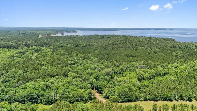 $99,500 | Tbd Hickman Road, Burkeville, TX 75932