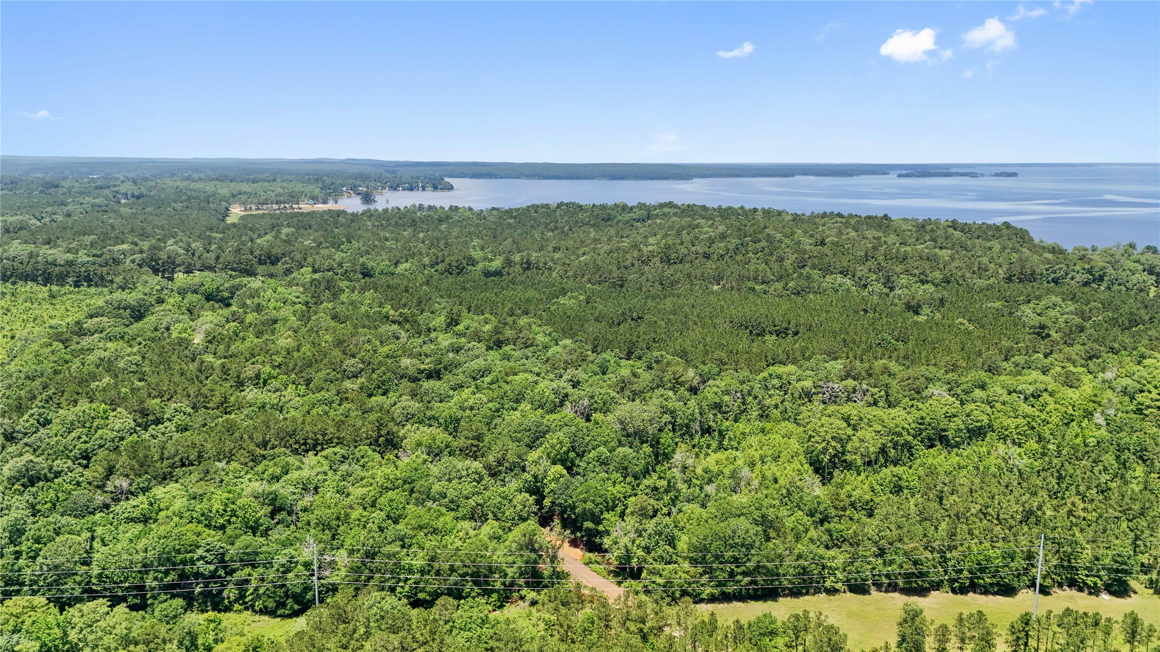 Tbd Hickman Road Burkeville, TX 75932 - Photo 28 of 46