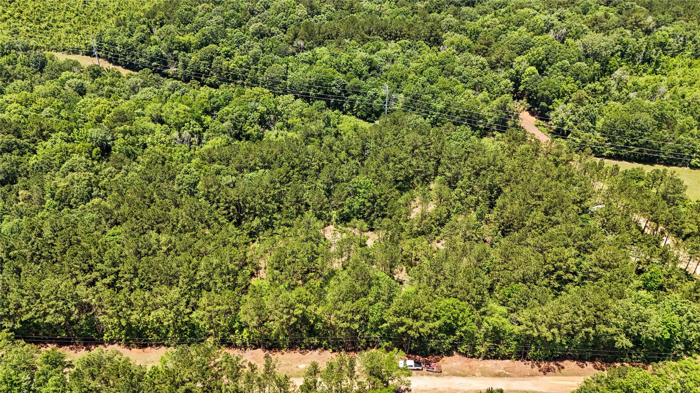 Tbd Hickman Road Burkeville, TX 75932 - Photo 29 of 46