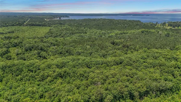 a view of a field with an ocean view