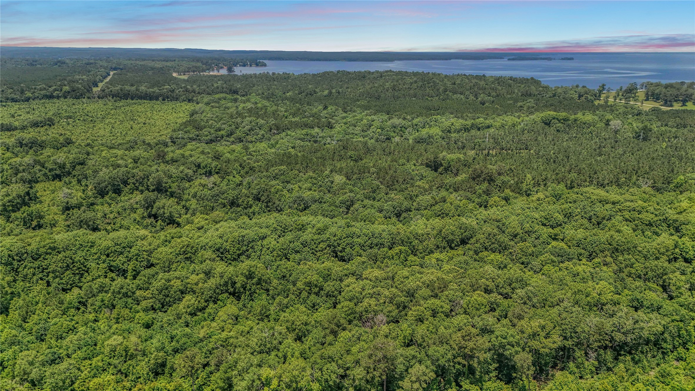 Tbd Hickman Road Burkeville, TX 75932 - Photo 30 of 46