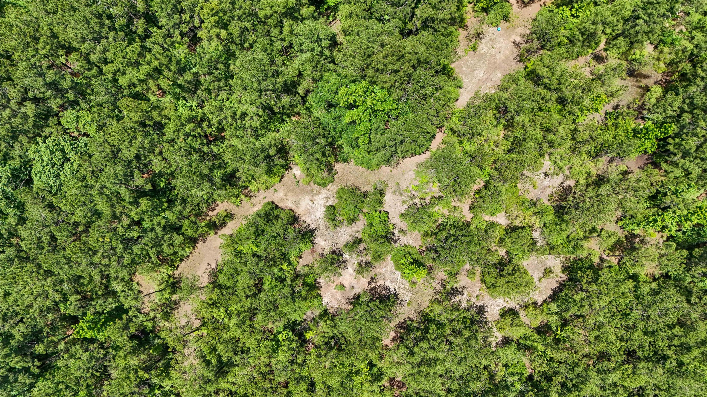 Tbd Hickman Road Burkeville, TX 75932 - Photo 31 of 46