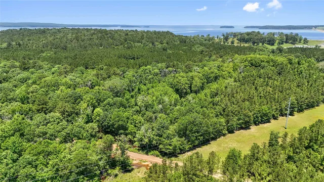 $99,500 | Tbd Hickman Road, Burkeville, TX 75932