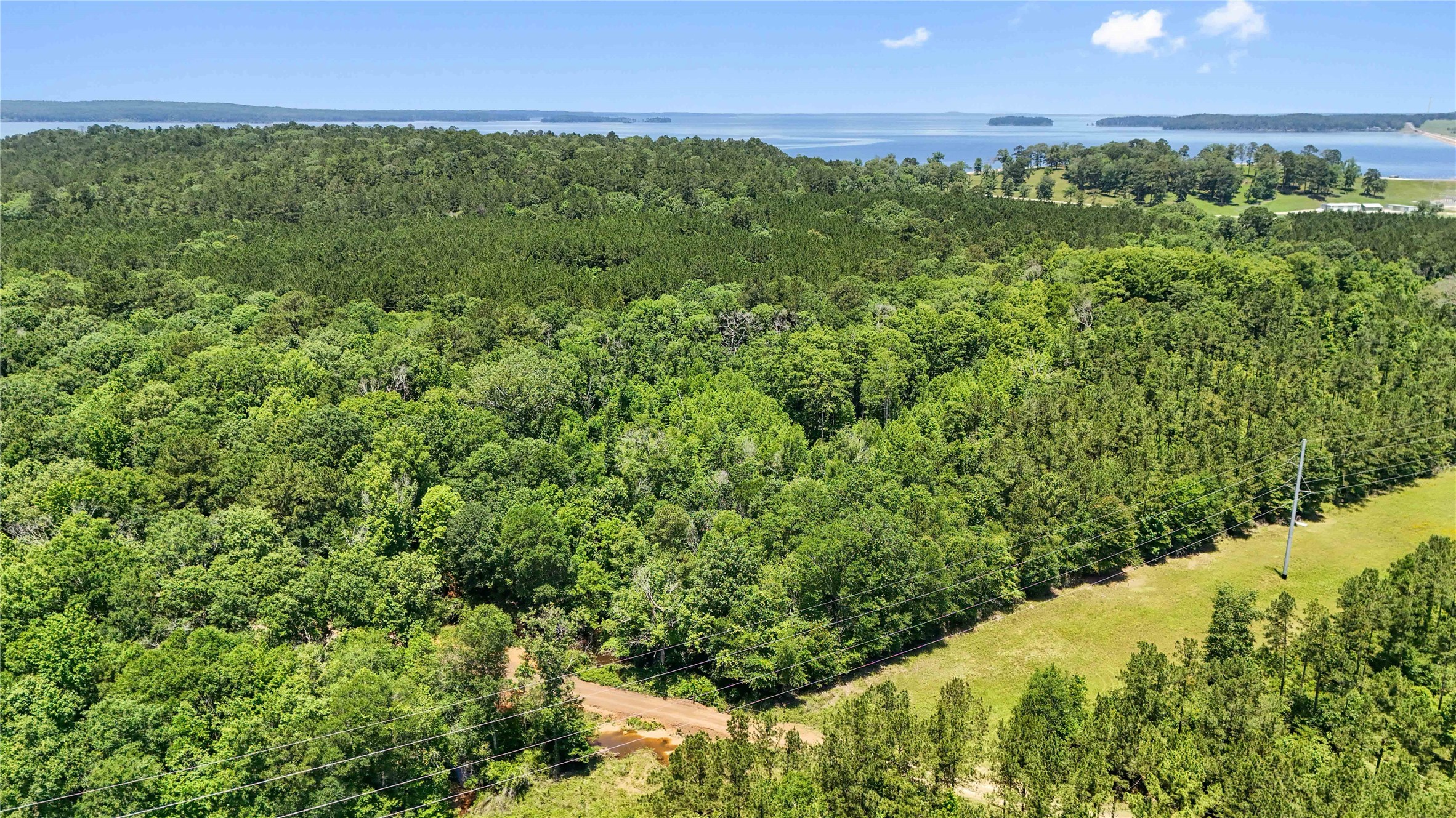 Tbd Hickman Road Burkeville, TX 75932 - Photo 32 of 46