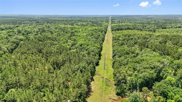 $99,500 | Tbd Hickman Road, Burkeville, TX 75932