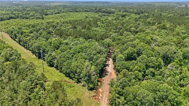 $99,500 | Tbd Hickman Road, Burkeville, TX 75932