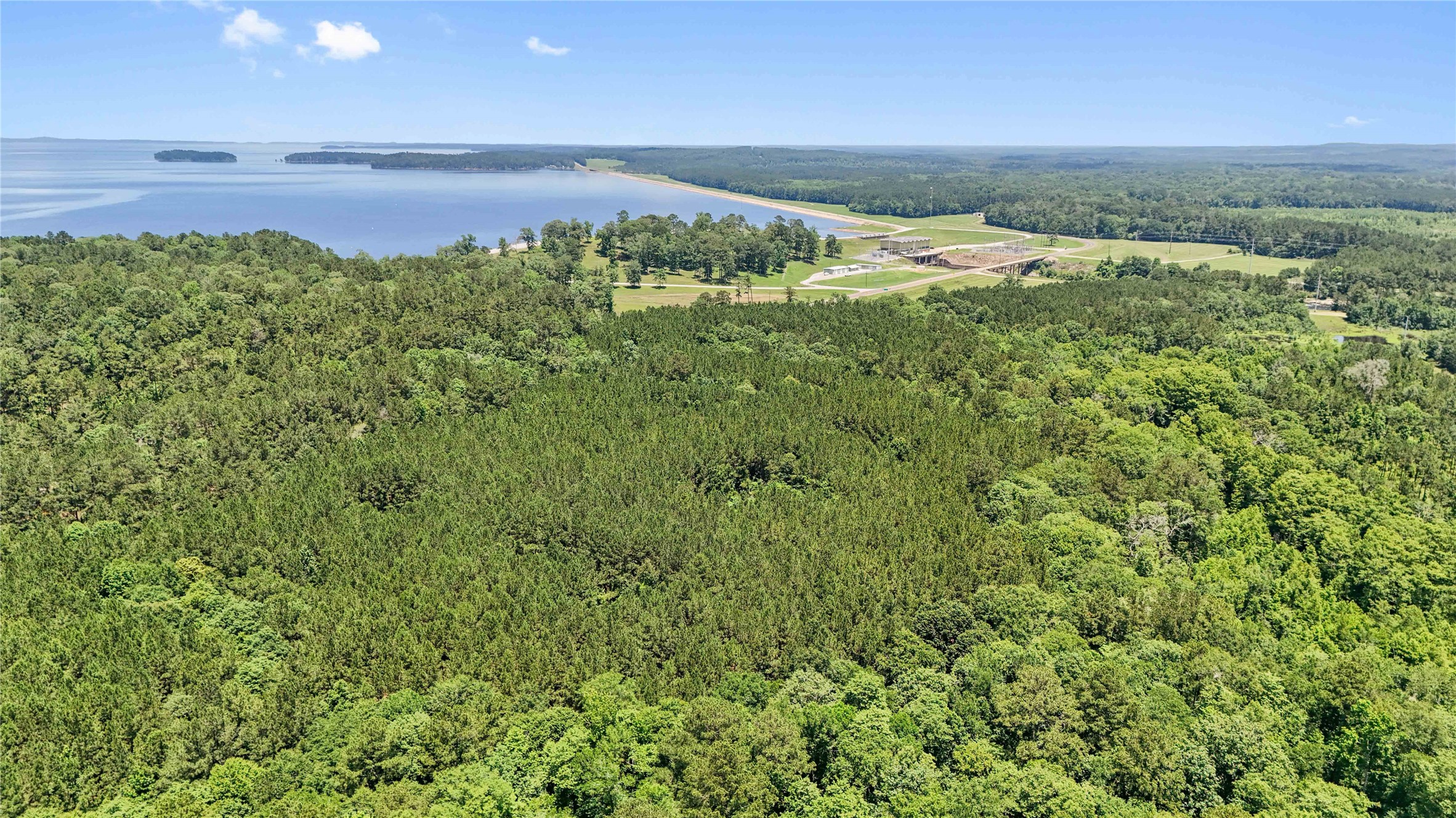 Tbd Hickman Road Burkeville, TX 75932 - Photo 35 of 46