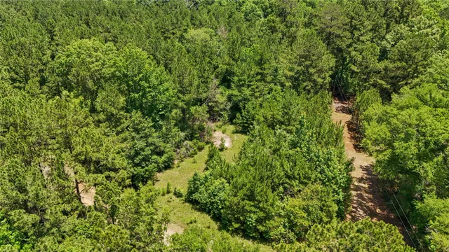 $99,500 | Tbd Hickman Road, Burkeville, TX 75932