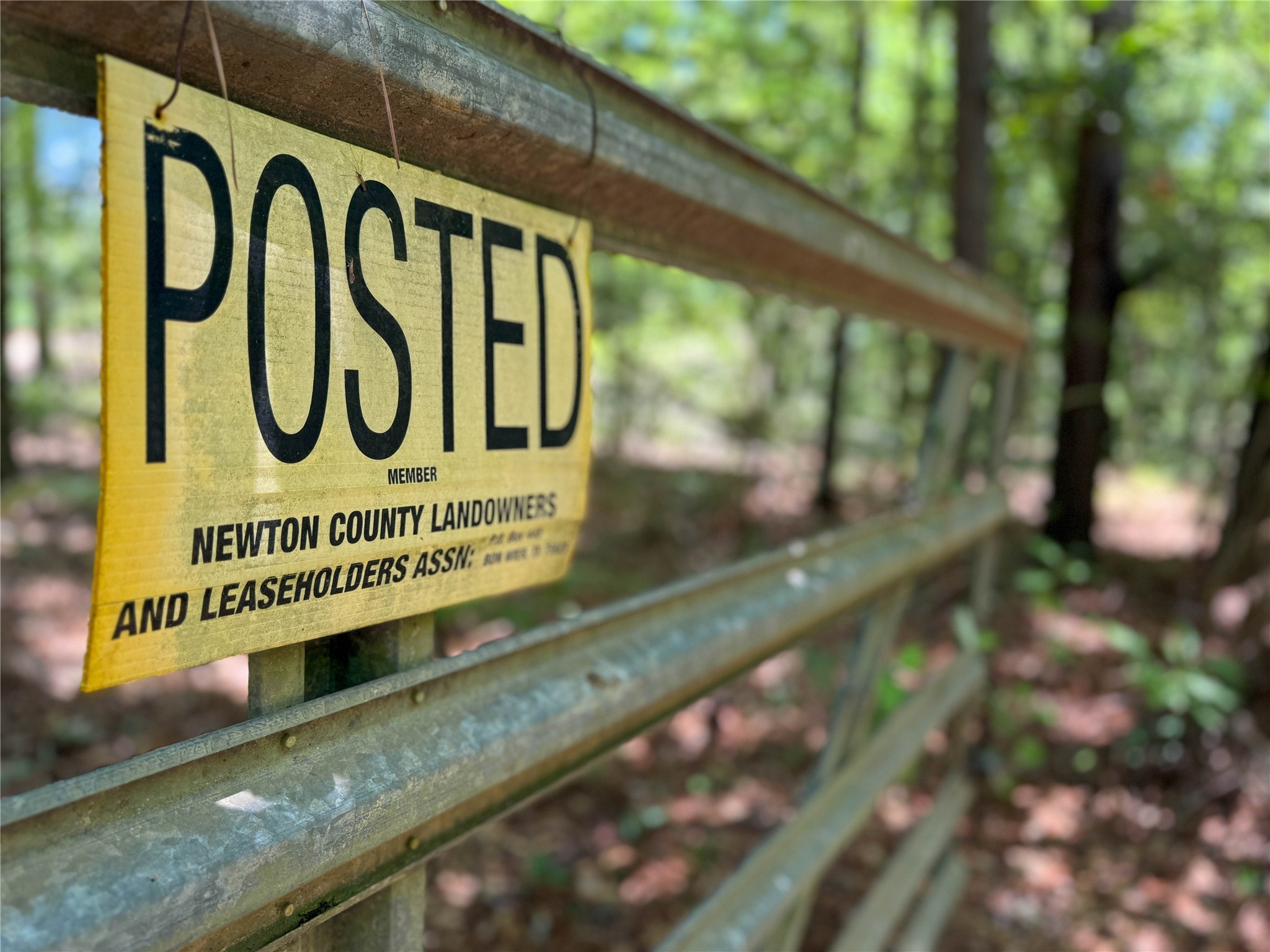 Tbd Hickman Road Burkeville, TX 75932 - Photo 4 of 46